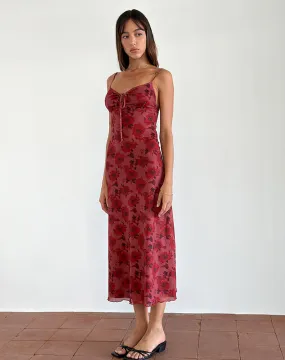 Coya Midi Dress in Fairy Floral Burgundy Flock