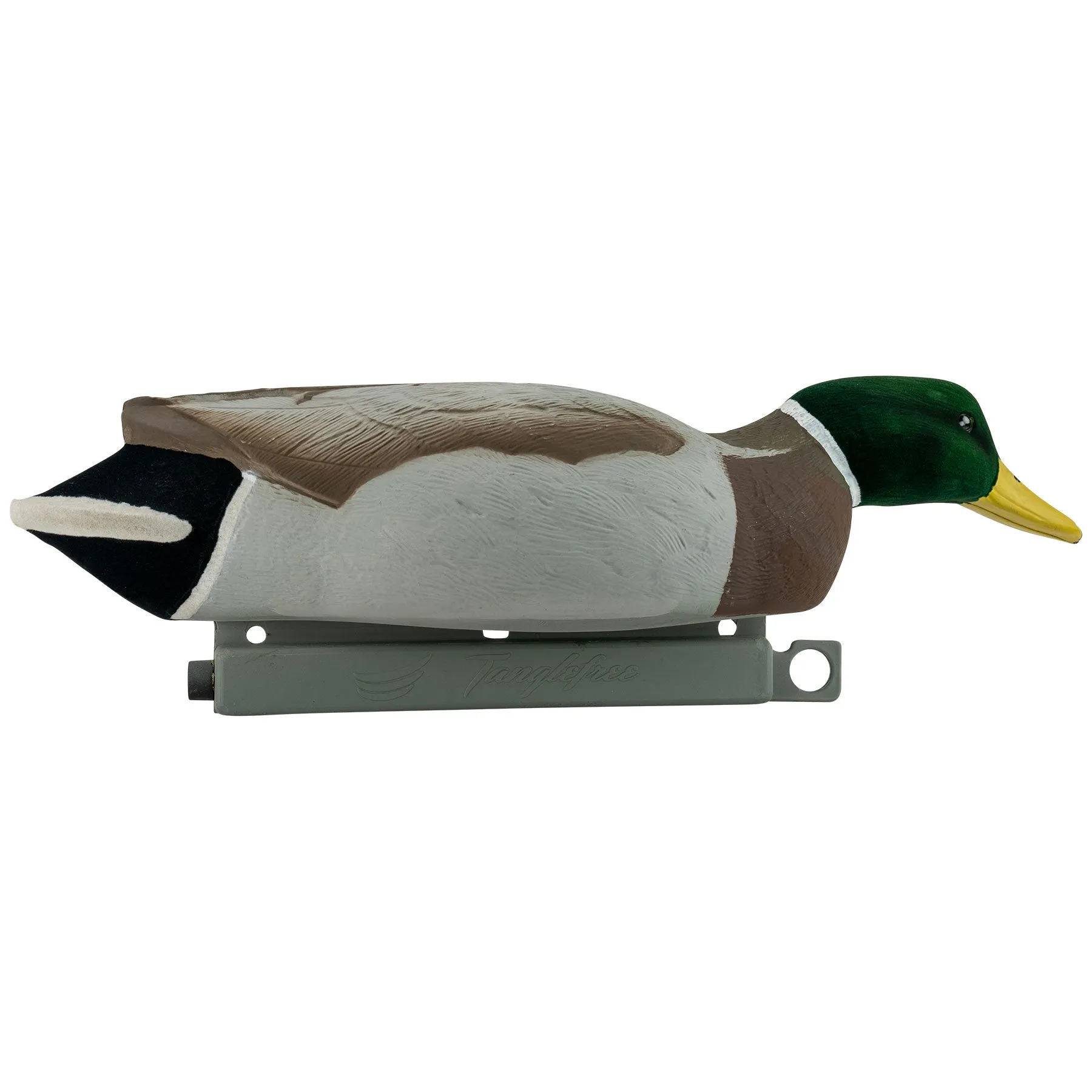 Migration Edition Mallard Drake Combo Pack - Flocked Head & Tail