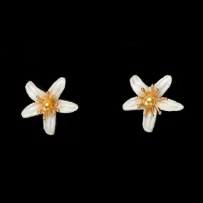 Orange Blossom Earrings - Petite Flower Stud